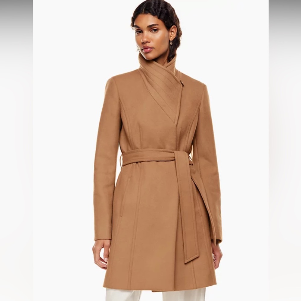 Babaton Aritzia Connor Coat.